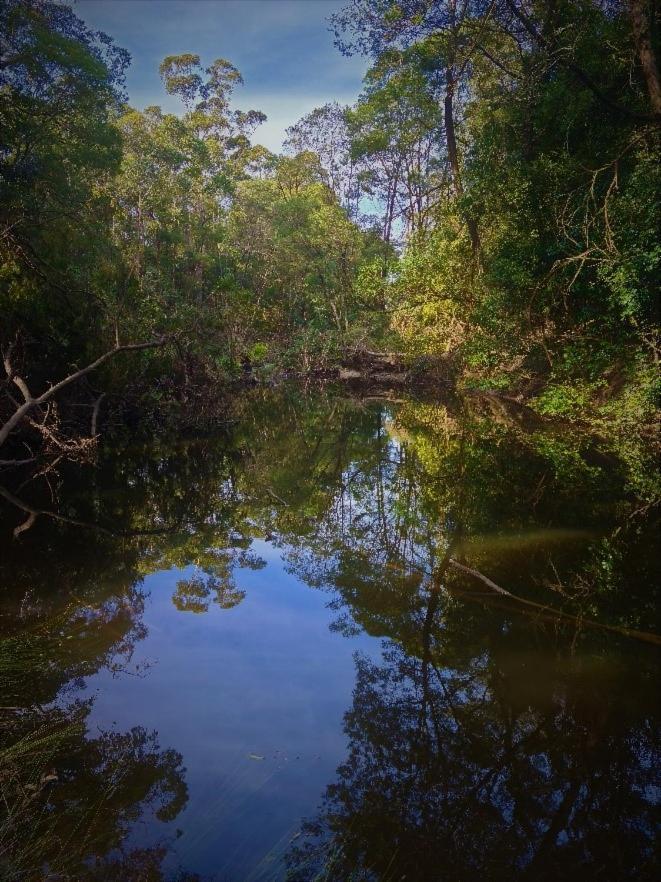 Bird Songs Getaway Accommodation Cabbage Tree Creek Zewnętrze zdjęcie